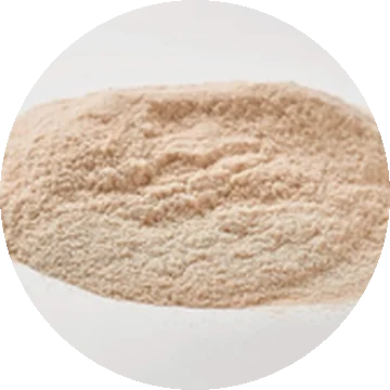 Quitosana